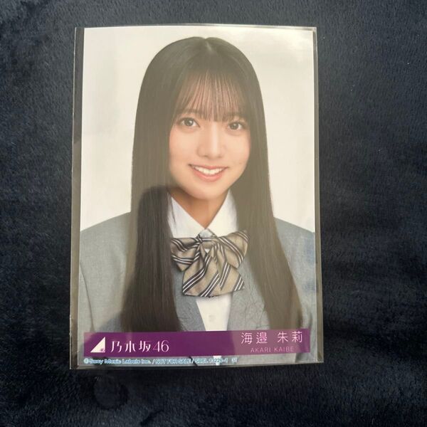 乃木坂46 38枚シングル封入生写真 海邉 朱莉