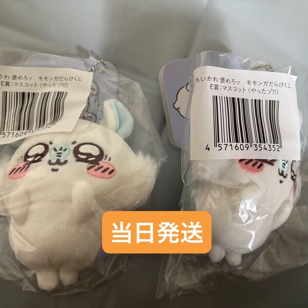 モモンガだらけくじ E賞やったゾ!!