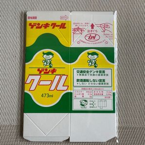 石垣島 ゲンキ 牛乳パック小物入れ 2枚セット