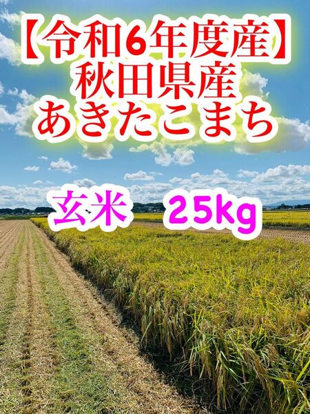 【令和6年度産】あきたこまち 玄米25kg