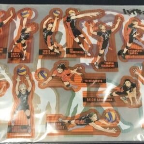 ハイキュー!! 展ゲンガ×タイカン開催記念クリアしおり 日向 影山 及川 岩泉 黒尾 研磨