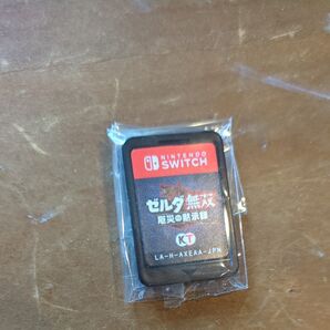 Nintendo Switchゼルダ無双 厄災の黙示録 ソフトのみ