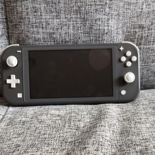 Nintendo Switch Lite グレー 本体のみ