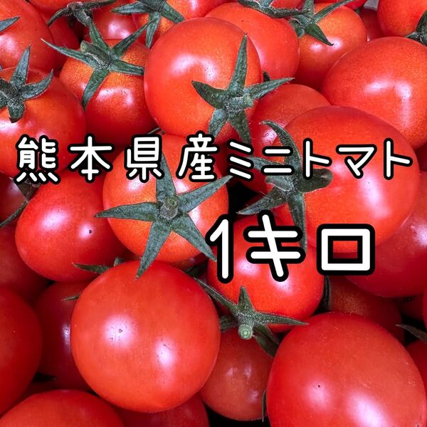 熊本県産 ミニトマト 千果 1キロ
