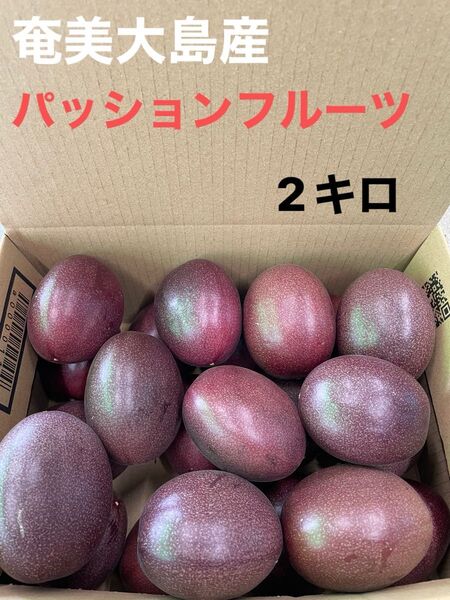 奄美大島産 パッションフルーツ 2キロ