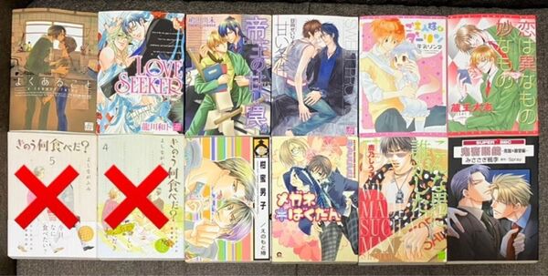 漫画 女性向けコミック BL漫画 ボーイズラブ まとめ売り