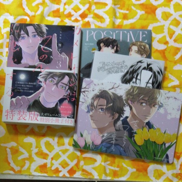 カメレオンはてのひらに恋をする。 (3) 特装版/小冊子&リーフレット&ビジュアルボード付き