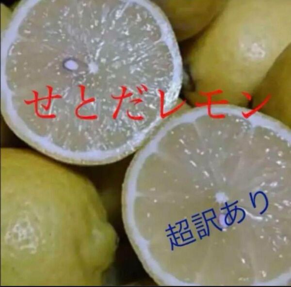 瀬戸田レモン 箱込み3キロ