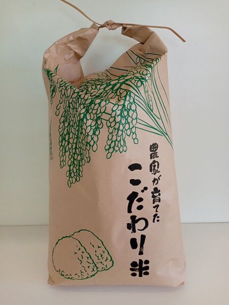 令和6年度 長野県産コシヒカリ 玄米 10Kg