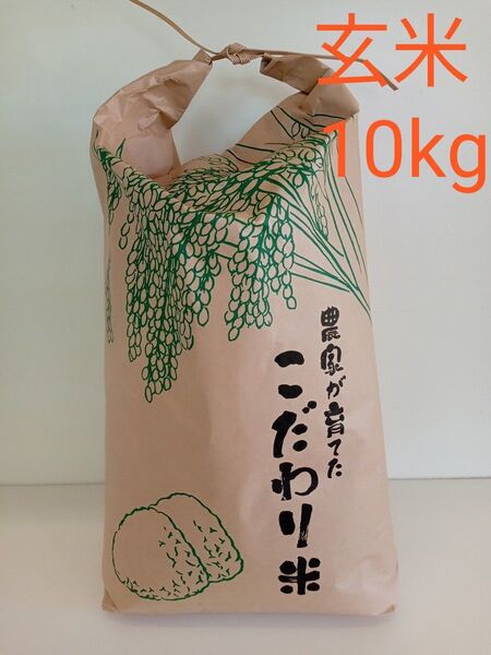 長野県産コシヒカリ 令和6年度産 玄米10kg