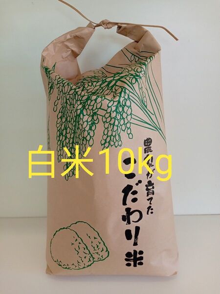 長野県産コシヒカリ 令和6年度産 白米 精米済み 10kg