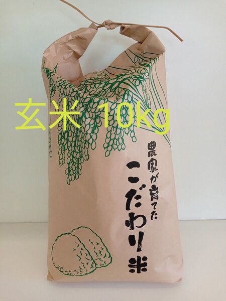 長野県産コシヒカリ 令和6年度産 玄米10kg