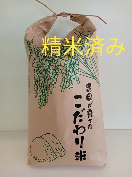 長野県産コシヒカリ 令和6年度産 白米 精米済み 10kg