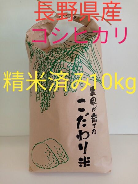 長野県産コシヒカリ 令和6年度産 白米 精米済み 10kg