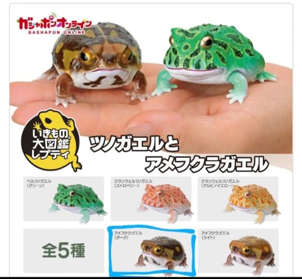 生き物大図鑑レプティ アメフクラガエル(ダーク)