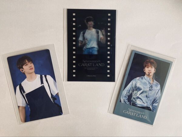 Seventeen ウォヌ Carat Land 2024 VOD特典