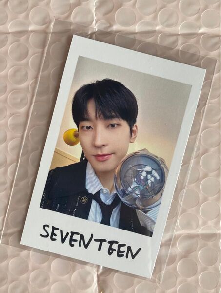 Seventeen ウォヌ Holiday インスタントフォトシール