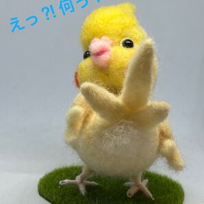 羊毛フェルト ハンドメイド えっ何オカメインコ