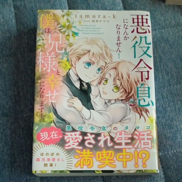 悪役令息になんかなりません!僕は兄様と幸せになります! (b&arche NOVELS) tamura‐k/〔著〕