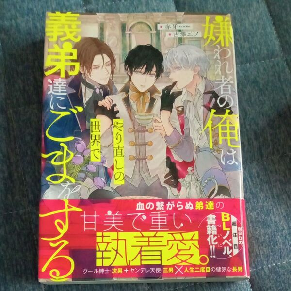 嫌われ者の俺はやり直しの世界で義弟達にごまをする (&arche NOVELS) 赤牙/著