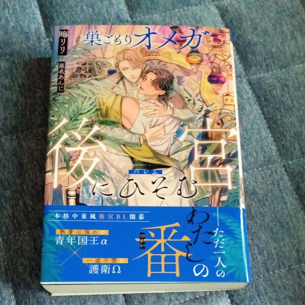 巣ごもりオメガは後宮(ハレム)にひそむ (&arche NOVELS) 晦リリ/〔著〕