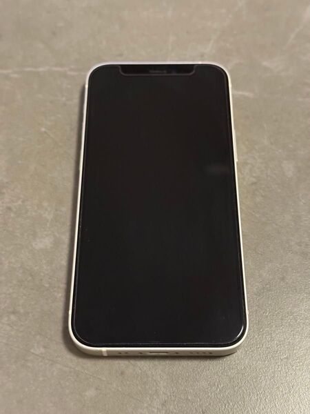 iPhone12 mini 256GB
