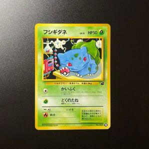 ポケモンカード 旧裏 フシギダネ No.001 イントロパック限定