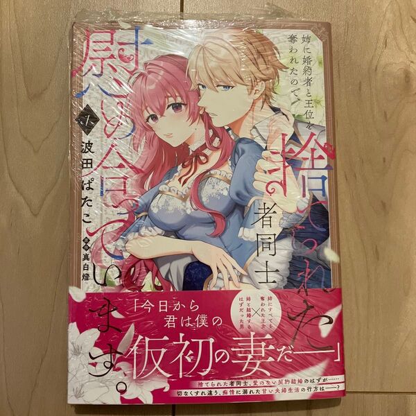 姉に婚約者と王位を奪われたので、捨てられた者同士慰め合っています。 1 新品未開封