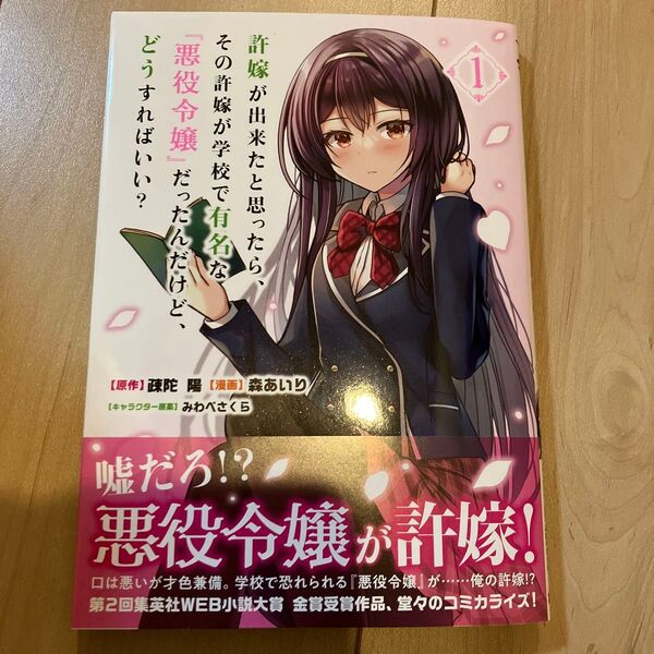許嫁が出来たと思ったら、その許嫁が学校で有名な『悪役令嬢』だったんだけど、どうすればいい? 1