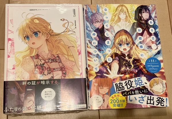 ある日、お姫様になってしまった件について 10 11