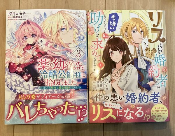 薬で幼くなったおかげで冷酷公爵様に拾われました 3 リスになってしまった婚約者が、毛嫌いしていたはずの私に助けを求めてきました。1