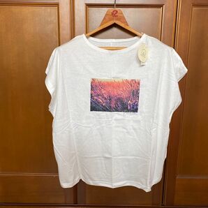 新品 USAフォトプリントデザイン コットンTシャツ ・綿Tシャツ LL