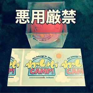 わっしょいCAMP サインボール 末澤誠也 Aぇ! group 直筆サインボール