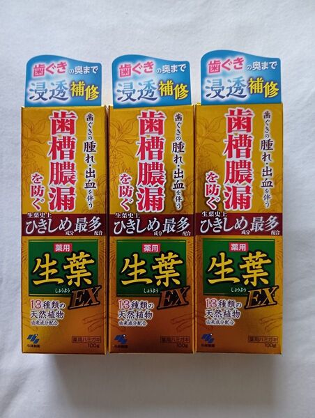 生葉 薬用歯磨き EX 100g