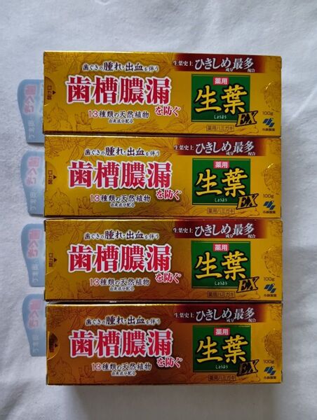生葉 薬用歯磨き EX 100g