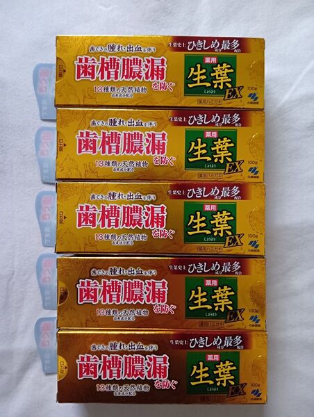 生葉 薬用歯磨き EX 100g