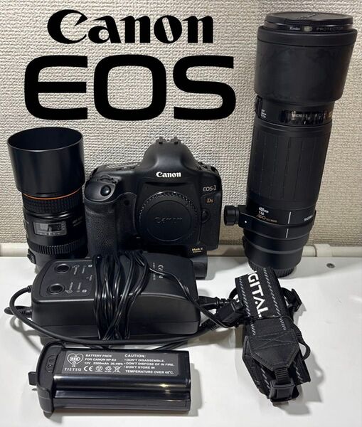 【ショット数1,575枚!】Canon EOS-1 Ds MarkⅡレンズセット