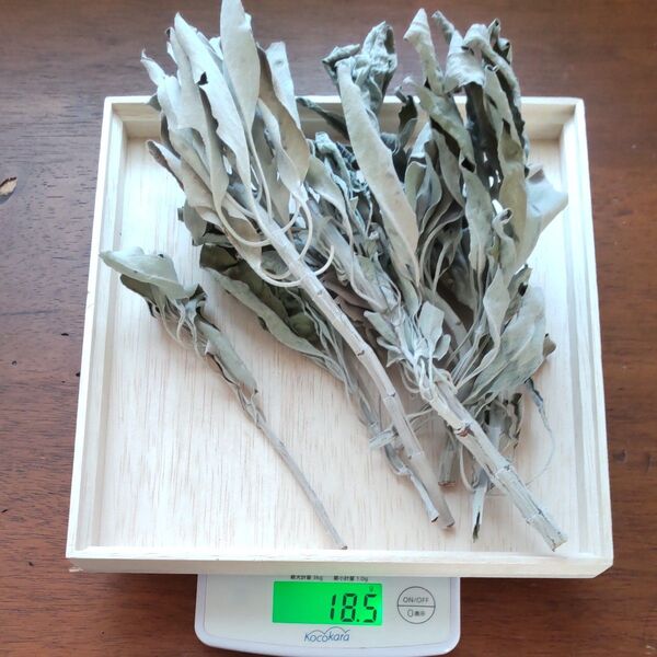 ホワイトセージ リーフ 乾燥葉 約18g サルビア・アピアナ カリフォルニア 浄化 ハーブ 天然石浄化 枝付き 有機 無農薬 Z