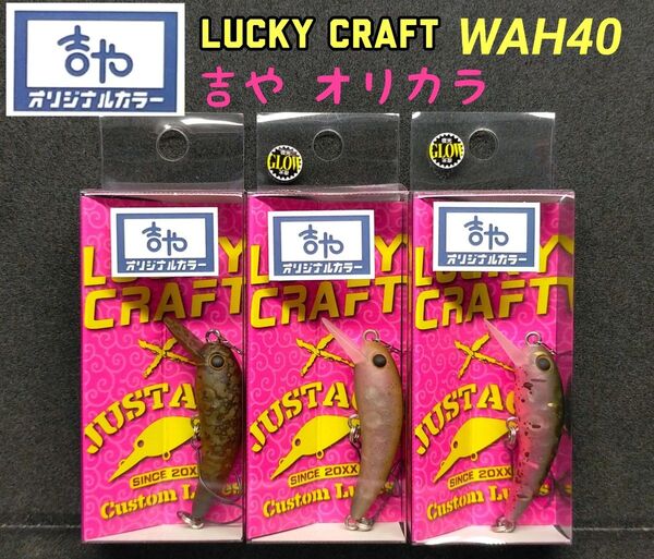 ラッキークラフト ワウ40F 吉や オリジナルカラー 天音 緑龍 アンノウ レアカラー