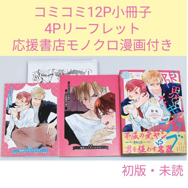 【コミコミ12P小冊子+4Pリーフレット+応援書店ペーパー付き】限界メイキングラブ 羽毛先生