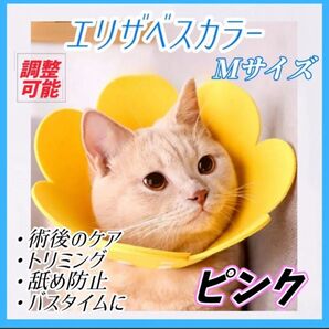 エリザベスカラー 1枚 ピンク Mサイズ 猫 犬 ペット用品 傷口保護 舐め防止 引っ掻き防止