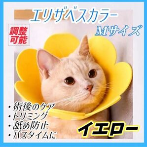 エリザベスカラー 2枚 イエロー Mサイズ 猫 犬 ペット用品 傷口保護 舐め防止 引っ掻き防止