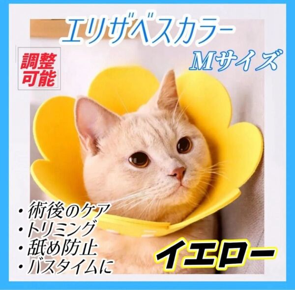 エリザベスカラー 1枚 イエロー Mサイズ 猫 犬 ペット用品 傷口保護 舐め防止 引っ掻き防止