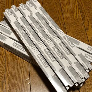 hotalux 蛍光灯 10ワット FL10D 昼光色