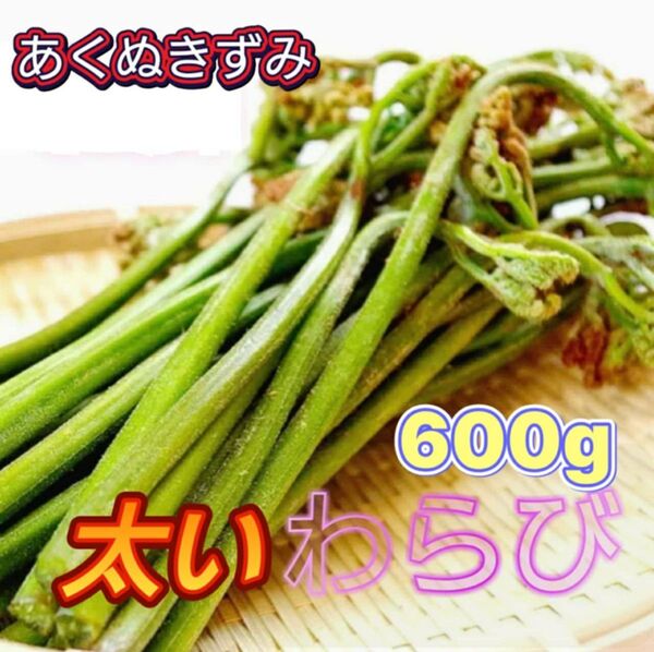 新鮮 朝採り 無農薬 山菜 蕨 ワラビ わらび 600g あくぬきずみ 太い 粘りあり