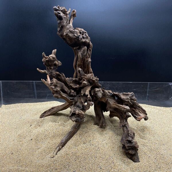 MSRW-6303天然流木1点物 スリムウッド アクアリウム
