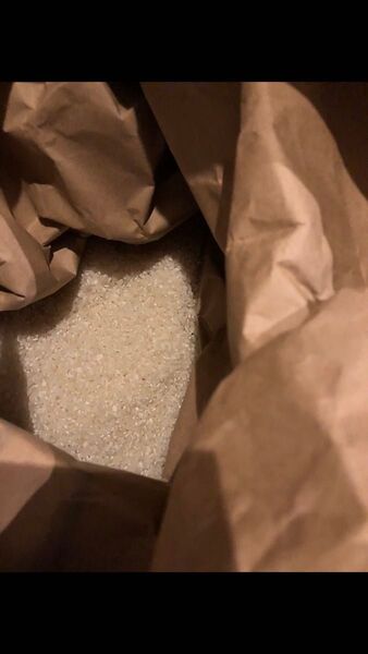 お米 コシヒカリ 2Kg 精米済み 1