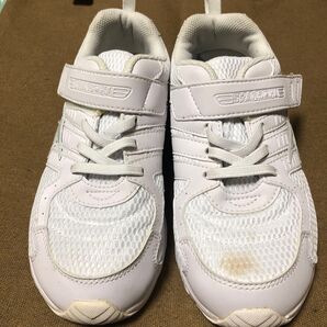 中古 女子 中学生 中履き 内履き 瞬足23.5センチ