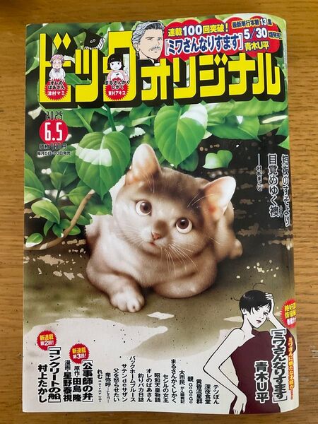 ビッグコミックオリジナル 6月5日 最新号 2025年 11号 切り抜き一切なし