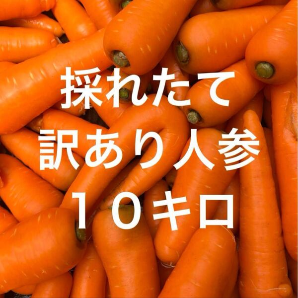 訳あり人参